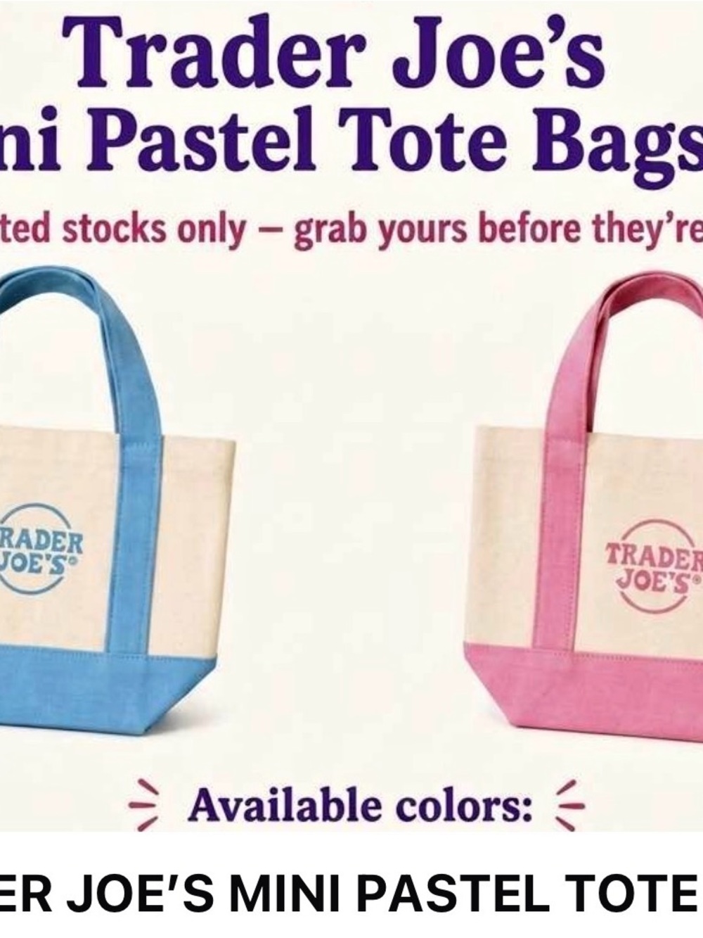 Trader Joe's Mini Pastel Canvas Tote bags.